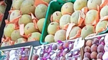 تحديث الأسعار.. قائمة أسعار الخضراوات والفاكهة داخل أسواق الفيوم اليوم الاثنين